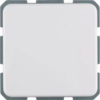 Hager WWS1211PW Toma SCHUKO con tapa abatible y protección contra contactos elevada, empotrable, blanco polar brillante