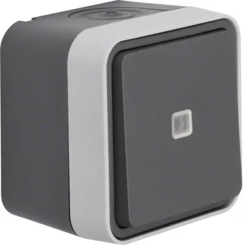 Hager WNC002 conmutador de superficie iluminado IP55 gris serie W.1