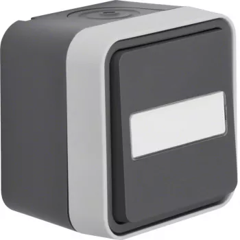 Hager WNC006 conmutador de superficie IP55 gris con campo de rotulación W.1