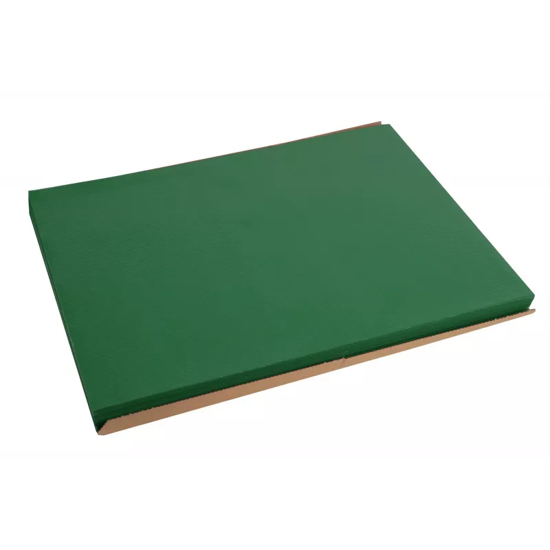 PROnappe 500 manteles individuales Tiss Lack verde 30,0 x 40,0 cm