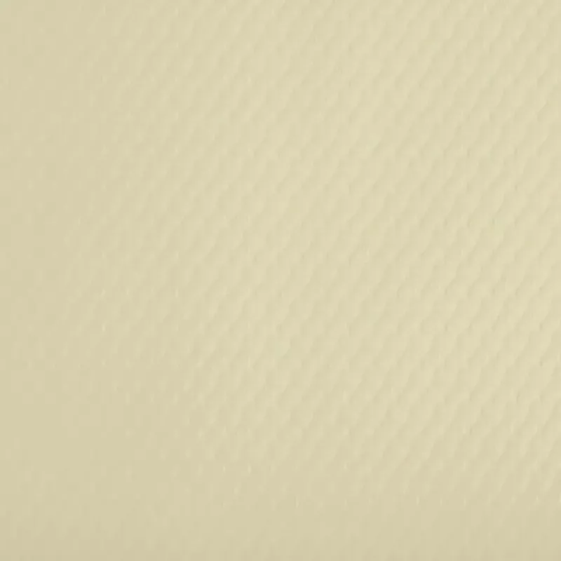 PROnappe mantel individual desechable 400 x 300 mm marfil gofrado papel ligeramente satinado