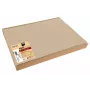 PROnappe 100 manteles individuales beige 30 x 40 cm
