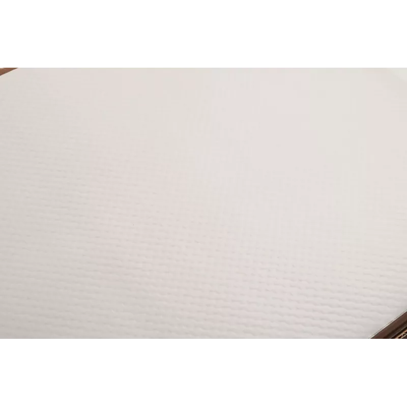 PROnappe 500 manteles individuales Tiss Lack blanco 30,0 x 40,0 cm