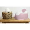 Orinal entrenador Beaba con cubeta extraíble rosa antiguo