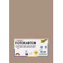 Folia 614/50 73 Cappuccino Cartulina sólida A4 300 g/m² 50 hojas