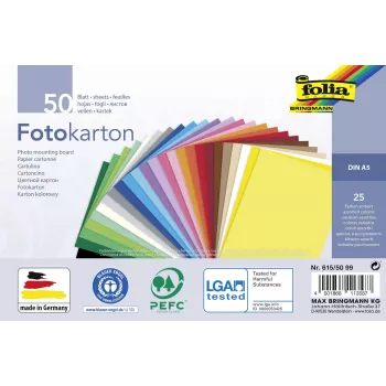 Folia Cartulina fotográfica colores surtidos 300 g/m² 50 hojas A4