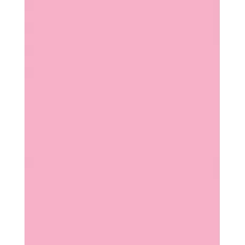 Folia 614/50 26 - Rosa - Liso - A4 (210 x 297 mm) - 300 g/m² - 50 hojas - Alemania