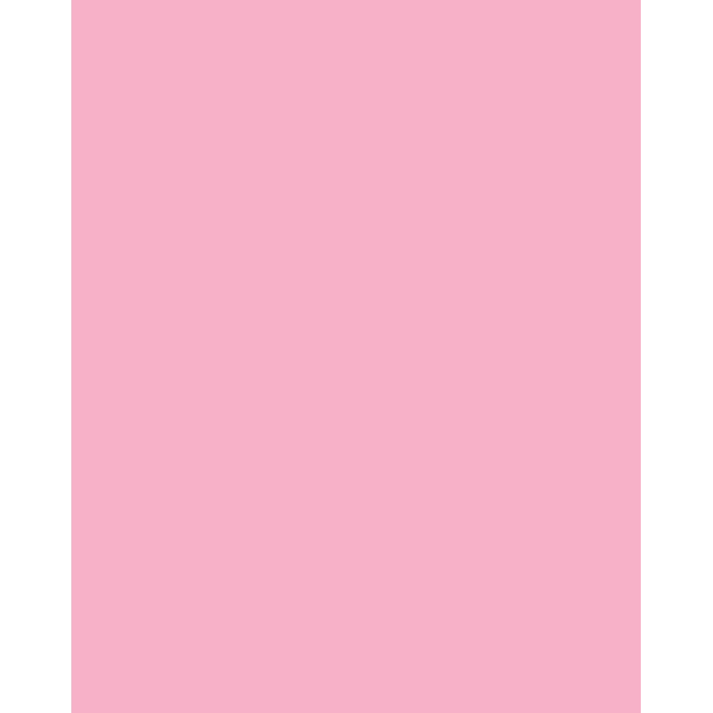 Folia 614/50 26 - Rosa - Liso - A4 (210 x 297 mm) - 300 g/m² - 50 hojas - Alemania