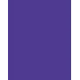 Folia 614/50 32 - Violeta - Color liso - A4 (210 x 297 mm) - 300 g/m² - 50 hojas - Alemania