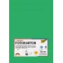 Folia 614/50 54 - Verde - Unicolor - A4 (210 x 297 mm) - 300 g/m² - 50 hojas - Alemania