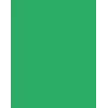 Folia 614/50 54 - Verde - Unicolor - A4 (210 x 297 mm) - 300 g/m² - 50 hojas - Alemania