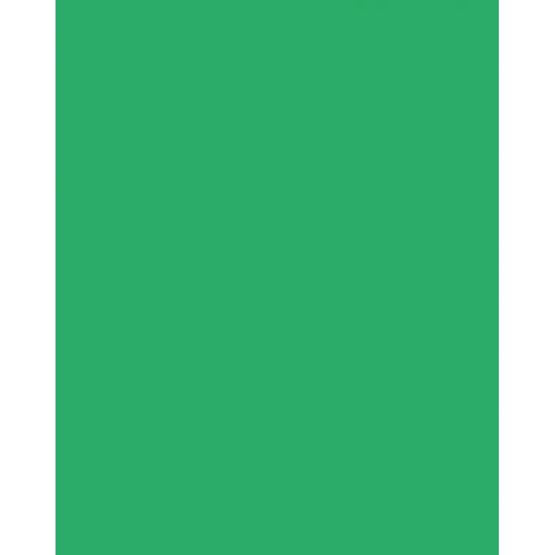Folia 614/50 54 - Verde - Unicolor - A4 (210 x 297 mm) - 300 g/m² - 50 hojas - Alemania
