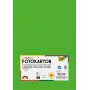 Folia 614/50 55 - Verde - Liso - A4 (210 x 297 mm) - 300 g/m² - 50 hojas - Alemania