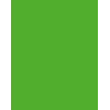 Folia 614/50 55 - Verde - Liso - A4 (210 x 297 mm) - 300 g/m² - 50 hojas - Alemania
