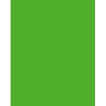 Folia 614/50 55 - Verde - Liso - A4 (210 x 297 mm) - 300 g/m² - 50 hojas - Alemania