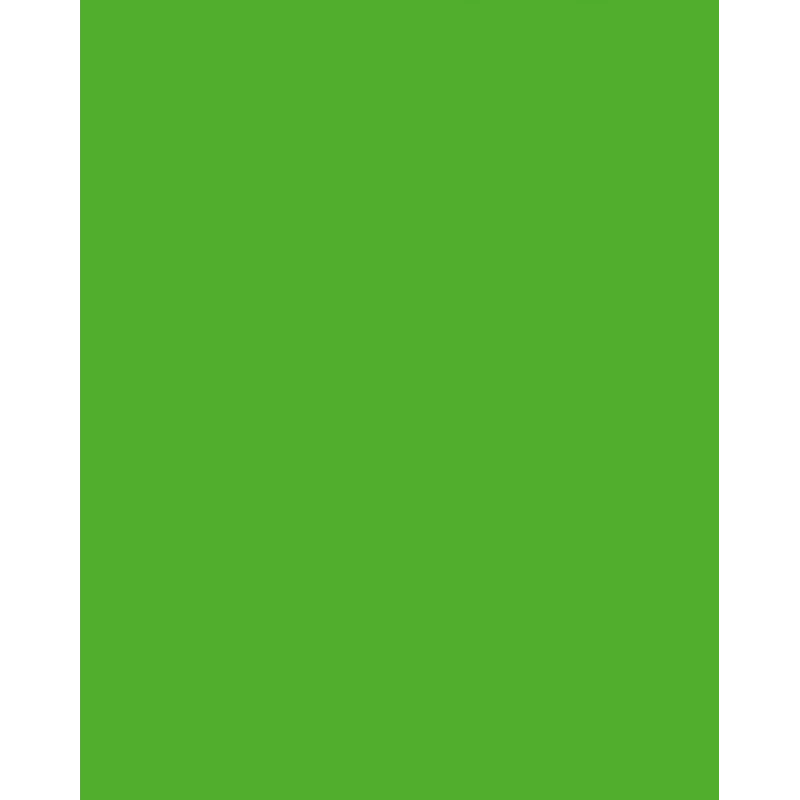 Folia 614/50 55 - Verde - Liso - A4 (210 x 297 mm) - 300 g/m² - 50 hojas - Alemania
