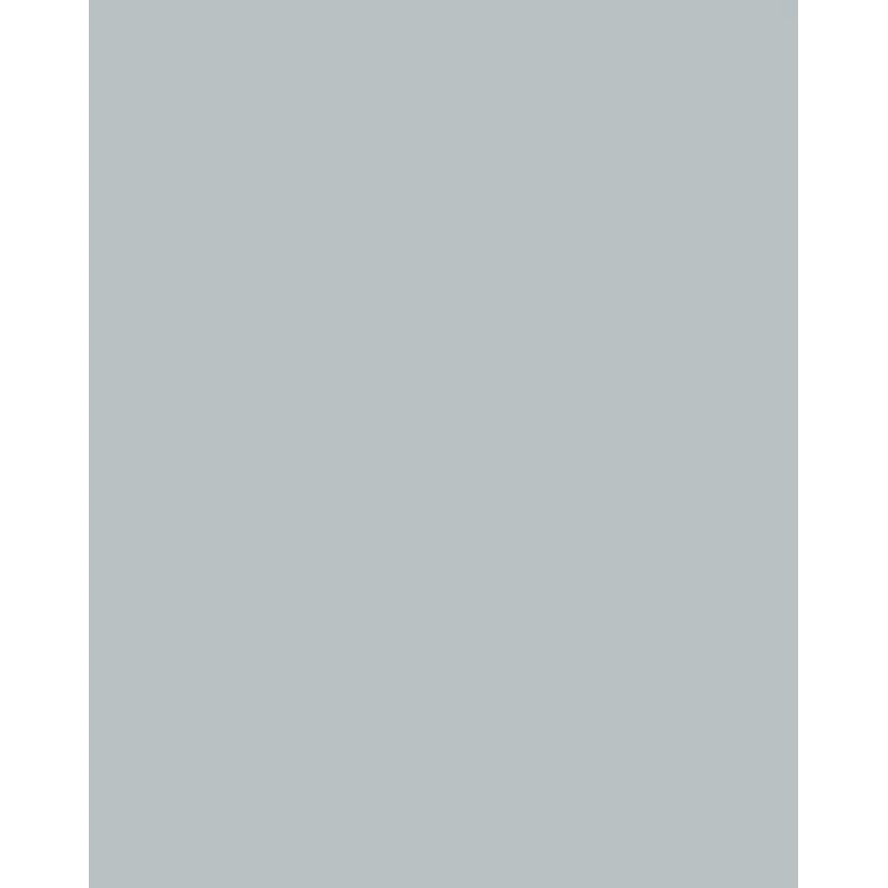 Folia 614/50 60 Papel de diseño - Plata - A4 (210 x 297 mm) - 300 g/m² - Mate - 50 hojas