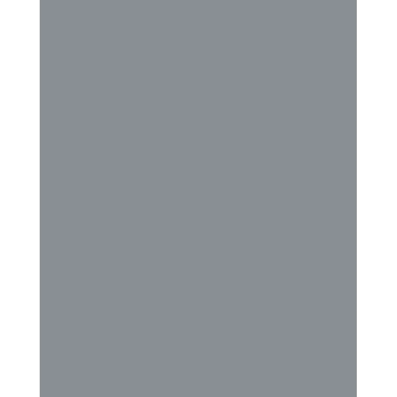Folia 614/50 84 - Gris - Liso - A4 (210 x 297 mm) - 300 g/m² - 50 hojas - Alemania