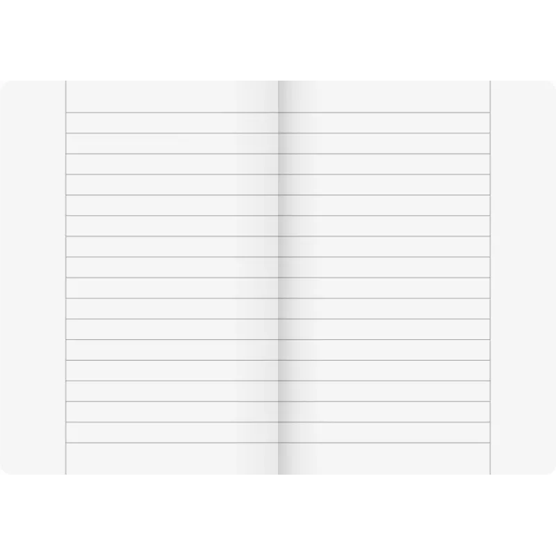 BRUNNEN Vivendi Cuaderno escolar Lineatur 25 rayado con margen exterior
