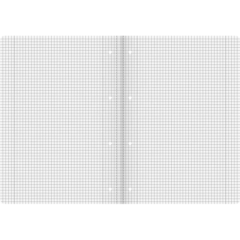 Cuaderno escolar BRUNNEN Vivendi A4, Lineatur 38, cuadriculado, 32 páginas, margen interior y exterior