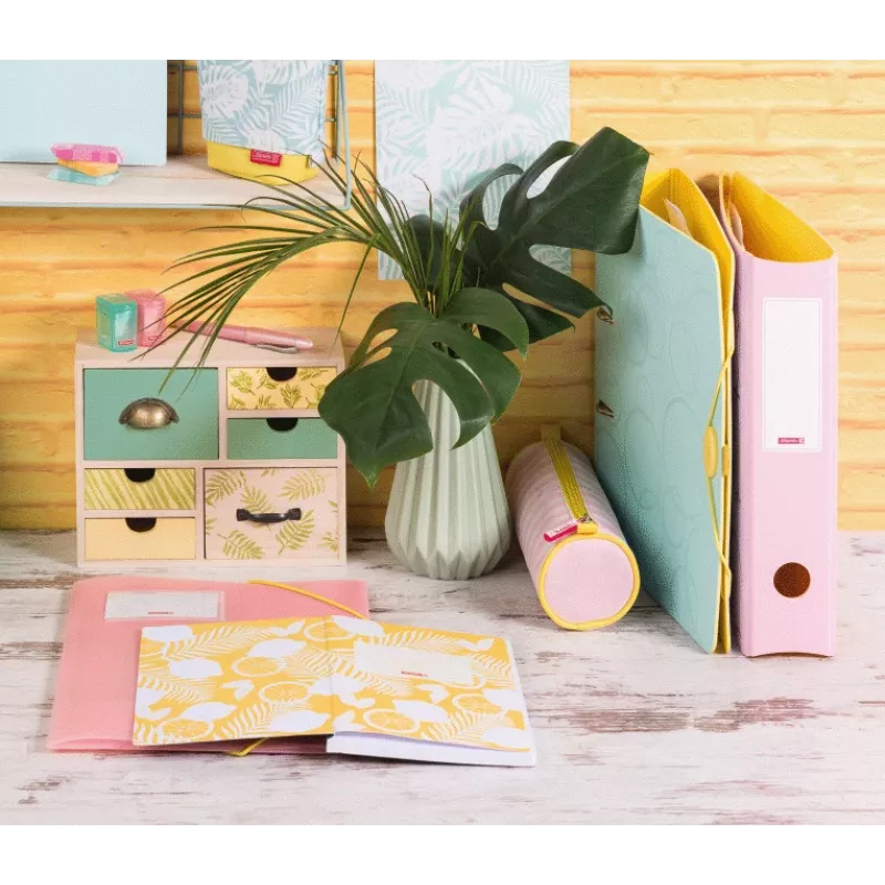 BRUNNEN Colours of Summer Collection carpeta, DIN A4, colores variados, pack de 3, polipropileno, cierre con goma elástica, capacidad de 150 hojas