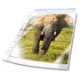 DURABLE Premium fundas para documentos DIN A4 extra anchas transparentes lisas 0,08 mm, 50 unidades (999111197)