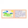 Oxford 100050103 cuaderno A5 90 g/m2 verde