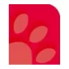 Oxford 100050402 cuaderno A4 90 g/m2 rojo