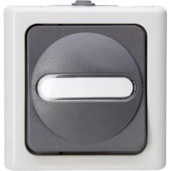 Heinrich Kopp interruptor de pulsación 1P gris/blanco termoplástico IP44 78mm