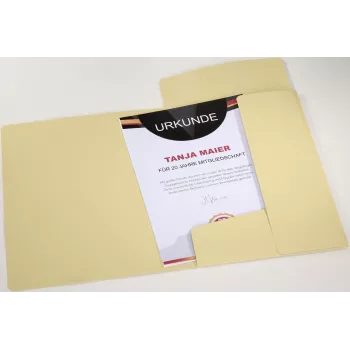PAGNA Carpeta con goma elástica Pastell Eco A4 PP amarillo pastel para documentos