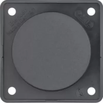 Placa embellecedora Berker antracita con placa de soporte 945162505
