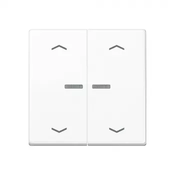 JUNG Home Pulsador 2 elementos Bluetooth AS 17102 P WW