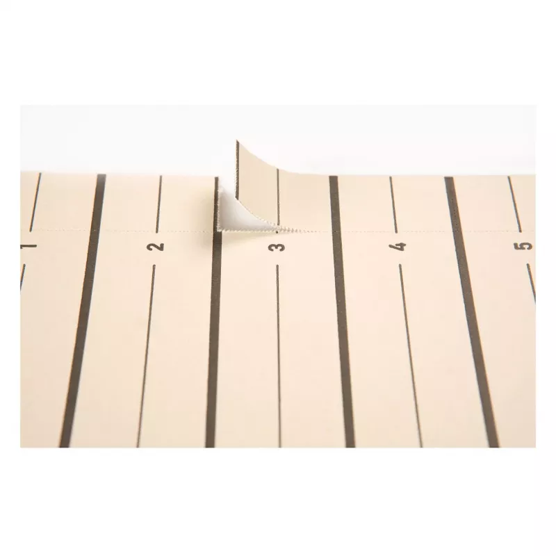 PAGNA Separadores A4 cartón beige 100 uds. sin perforar 180 g/m² 44063-09
