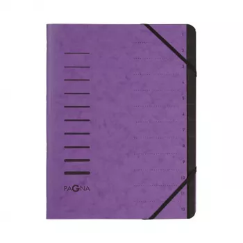 PAGNA Carpeta de documentos A4 violeta vertical 5 mm lomo 245 x 320 mm
