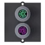 Bachmann placa frontal modular Snap-In - PS/2 x 2