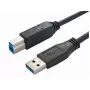 Bachmann 917.1203 cable USB 3.2 Gen 1 - USB A a USB B - 3 m - negro