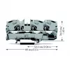WAGO 2010-1301 borne de paso, 10 mm², 800 V, gris, montaje en carril DIN