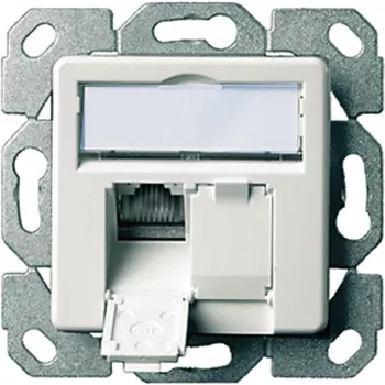 Telegärtner Módulo de conexión de datos AMJ45 Cat5e 2xRJ45 apantallado blanco