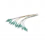 Synergy 21 pigtail de fibra óptica LC 50/125 µm OM3 2 m pack de 12 colores