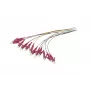 Synergy 21 pigtail de fibra óptica LC 50/125 µm OM4 2 m pack de 12 colores