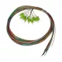 SYNERGY21 Pigtail LC 50/125µm OM5 2m Pack de 12 Cable interior codificado por colores