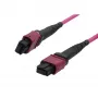SYNERGY21 Cable de conexión de fibra óptica OM4 Low Loss Elite 12 fibras Type B cruzado MTP hembra - Erika Violet - 0,5 m