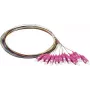 Synergy 21 S215524 pigtail de fibra óptica SC OM4 2m pack de 12 en colores