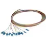 Synergy 21 S215475V2 Pigtail de fibra óptica 2 m LC/UPC OS2 pack de 12 colores