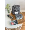 Lassig About Friends Raccoon set fiambrera y botella de bebida Tritan 460 ml