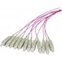 EFB Elektronik Pigtail de fibra SC OM4 50/125 µm Erika Violeta 2 m
