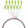 EFB Elektronik pigtail de fibra SC 50/125 OM5, set de 12 colores, 2m