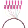 EFB Electronics pigtail de fibra SC 50/125 OM4 set de 12 colores 2m - set de cable/adaptador - Singlemode o Multimode
