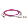 EFB-Elektronik Cable de conexión matricial MTP-F/LC 8 fibras OM4, LSZH, Erika Violeta, 10m