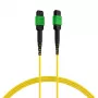 EFB Elektronik MTPF12MTPFOS2-7.5-A Cable de conexión de fibra óptica 7,5 m OS2 MTP hembra a MTP hembra